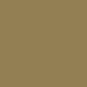 Game Color 72061: Khaki