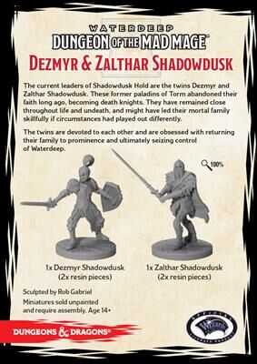 D&D Dungeon of the Mad Mage - Dezmyr & Zalthar Shadowdusk (GaleForce Nine) - Draakestein -