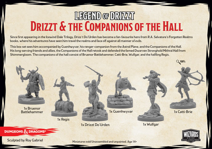 D&D Legend of Drizzt - Drizzt & the Companions of the Hall