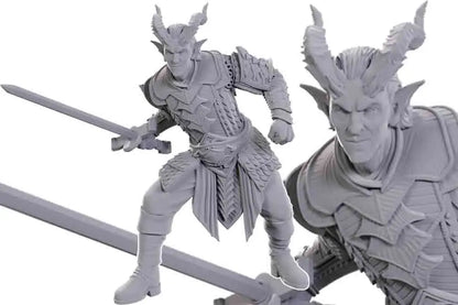 D&D Baldurs Gate - Ulder Ravengard & Zevlor