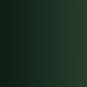 Xpress Color 72418: Lizard Green