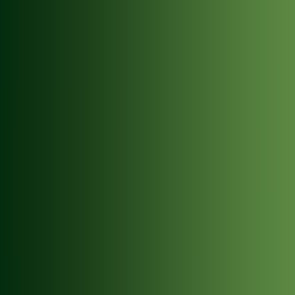 Xpress Color 72465: Forest Green
