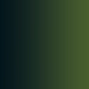Xpress Color 72466: Armor Green