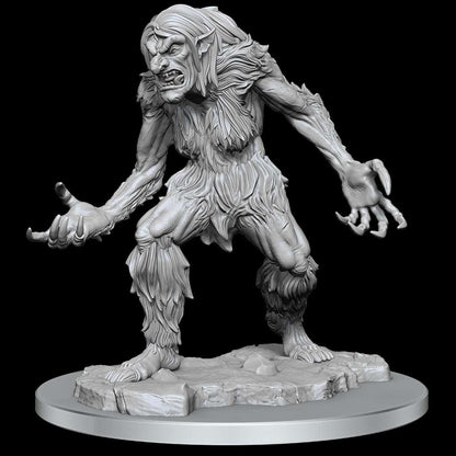 D&D: Nolzur Ice Troll Schilder Set