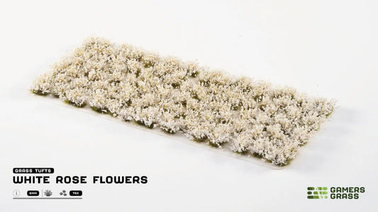 White Rose Flowers